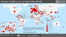 Load image into Gallery viewer, Country Print Out Map
